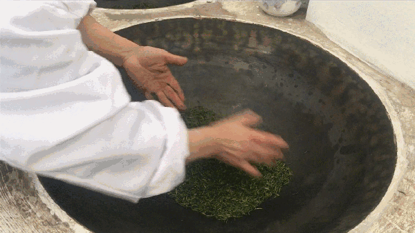 申遺，把雨花茶手藝傳承下去