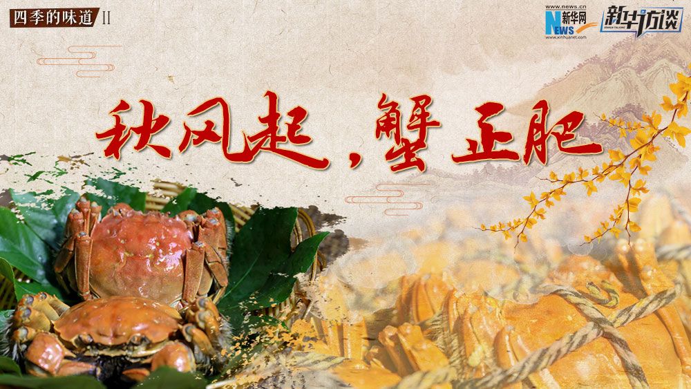 秋風(fēng)起，蟹正肥