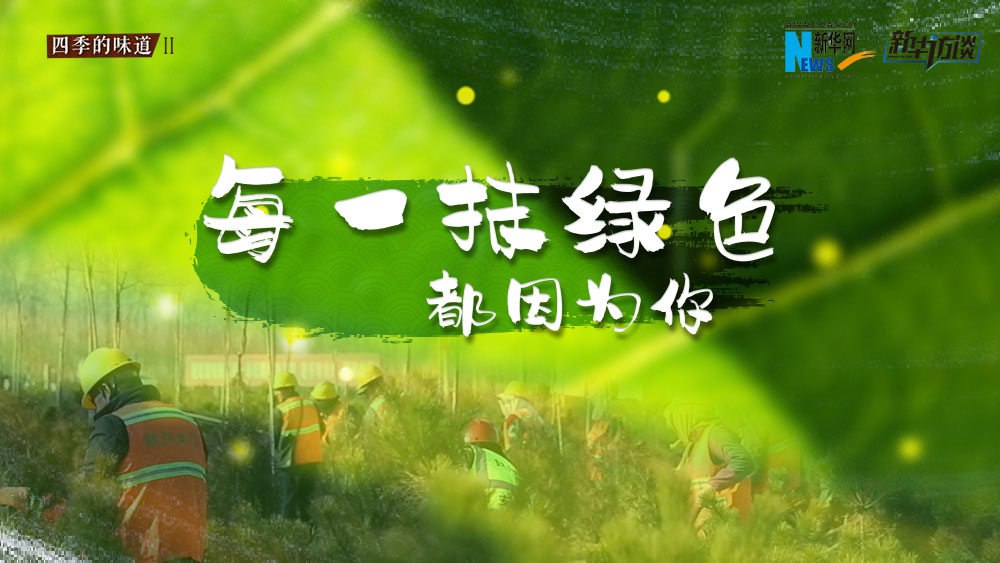 千年秀林，每一抹綠色都因?yàn)槟? /></p>
<p class=