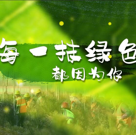 千年秀林，每一抹綠色都因?yàn)槟? /></a>       
<div   id=