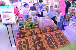 惠民項(xiàng)目農(nóng)科城