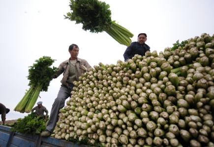 劉永富：發(fā)展產(chǎn)業(yè)脫貧仍是精準(zhǔn)扶貧、精準(zhǔn)脫貧主攻方向