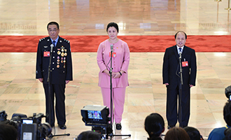 崔光日、荀笑紅、巨曉林代表接受采訪