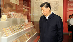 這些年，這些展，總書記這些話直抵人心