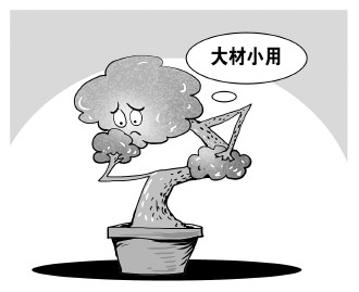 自認(rèn)&ldquo;大材小用&rdquo;，不如腳踏實(shí)地