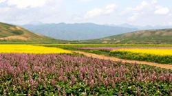 臺灣女企業(yè)家耕耘十年終圓&ldquo;香草夢&rdquo;