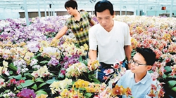 臺商眼中的改革開放：風(fēng)景這邊獨(dú)好 要去，要去，要去！