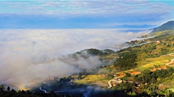 臺胞臺商熱議陜西惠臺&ldquo;60條&rdquo;：期盼落實(shí)、共享機(jī)遇