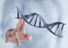 小細(xì)胞肺癌需要做基因檢測(cè)嗎？