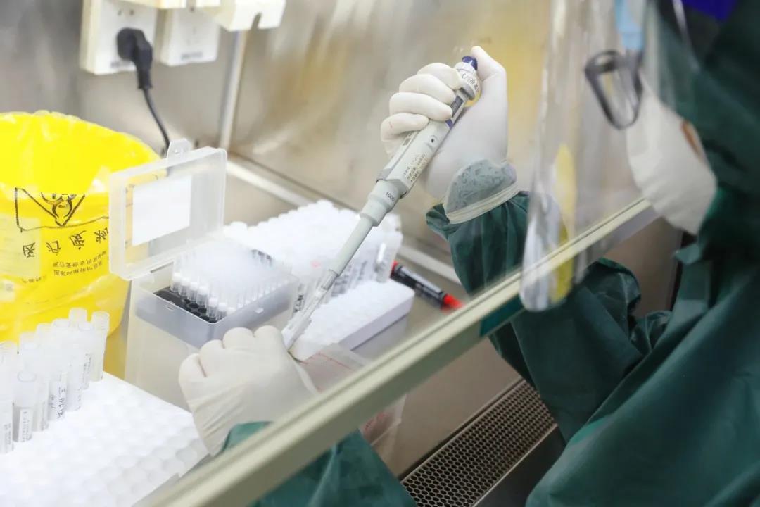 22人連軸轉(zhuǎn) 24小時&ldquo;搶&rdquo;出上萬份核酸報告