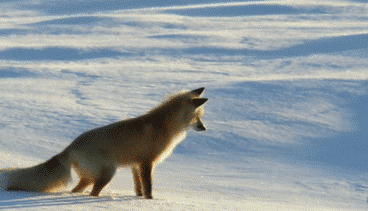 寒潮再襲 網(wǎng)友靈魂拷問：這么冷為何還不下雪？