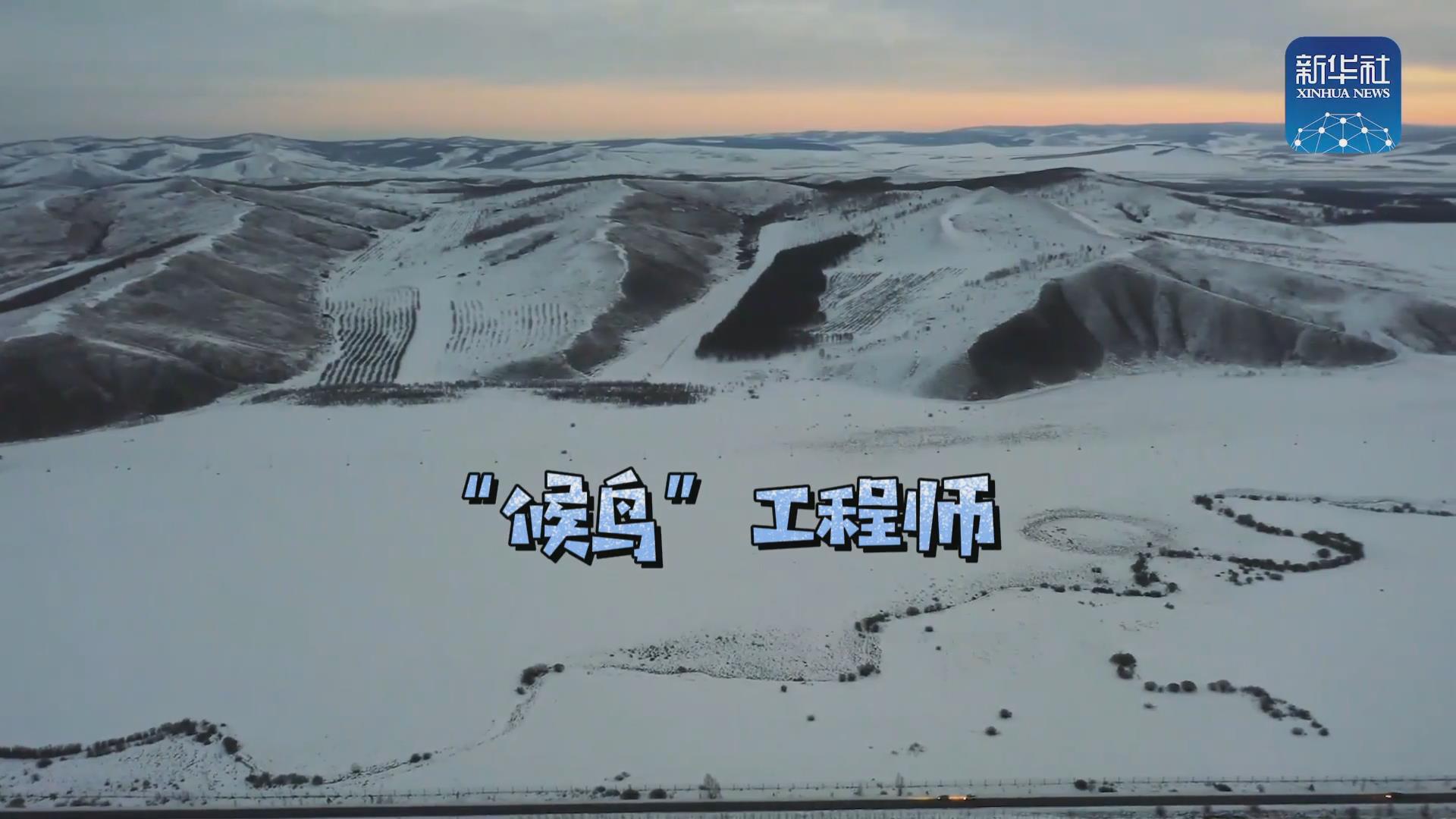 我們?cè)诒寂茇宦废虮?！他是逆行?ldquo;候鳥(niǎo)&rdquo;