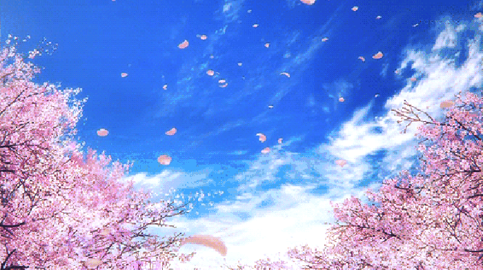 寧波這個(gè)地方早櫻花開(kāi)成海，滿足你對(duì)春天的所有想象