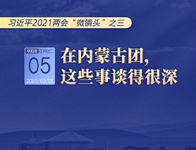 習(xí)近平2021兩會&ldquo;微鏡頭&rdquo;之三 3月5日 在內(nèi)蒙古團(tuán)，這些事談得很深