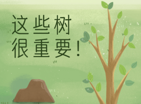 這些樹很重要!