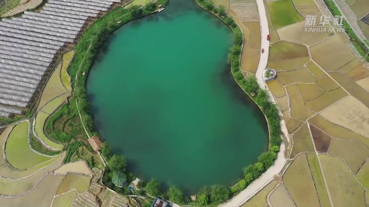 稻田新插，這里的山村美翻了！