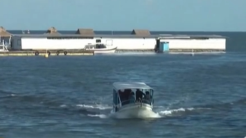 整頓！ 非法營(yíng)業(yè) 印尼巴厘島解救七只寬吻海豚