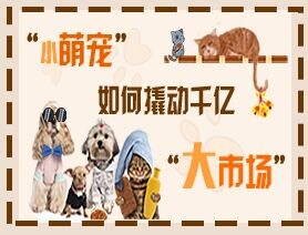 &ldquo;小萌寵&rdquo;如何撬動(dòng)千億&ldquo;大市場(chǎng)&rdquo;？