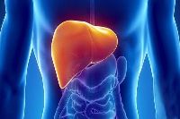 【健康解碼】轉(zhuǎn)氨酶輕度升高要不要緊？