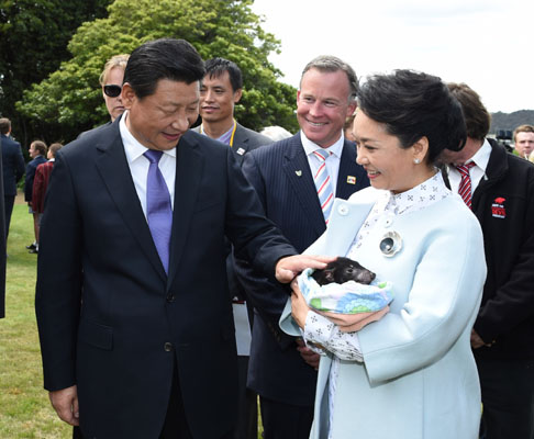 11月18日，國(guó)家主席習(xí)近平在澳大利亞塔斯馬尼亞州與朗塞斯頓市斯科奇－歐克伯恩小學(xué)的小學(xué)生共同植樹。這是習(xí)近平和夫人彭麗媛植樹后撫摸袋獾。新華社記者 馬占成 攝