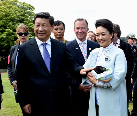 11月18日，國(guó)家主席習(xí)近平在澳大利亞塔斯馬尼亞州與朗塞斯頓市斯科奇－歐克伯恩小學(xué)的小學(xué)生共同植樹。這是習(xí)近平和夫人彭麗媛植樹后撫摸袋獾。新華社記者 饒愛民 攝