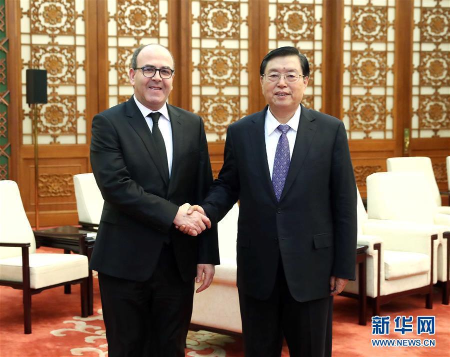 12月20日，全國(guó)人大常委會(huì)委員長(zhǎng)張德江在北京人民大會(huì)堂會(huì)見(jiàn)摩洛哥參議長(zhǎng)本希馬。新華社記者劉衛(wèi)兵攝