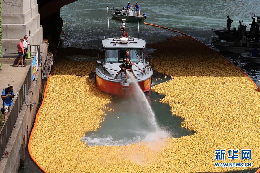 （國際&middot;一周看天下）小黃鴨競速 