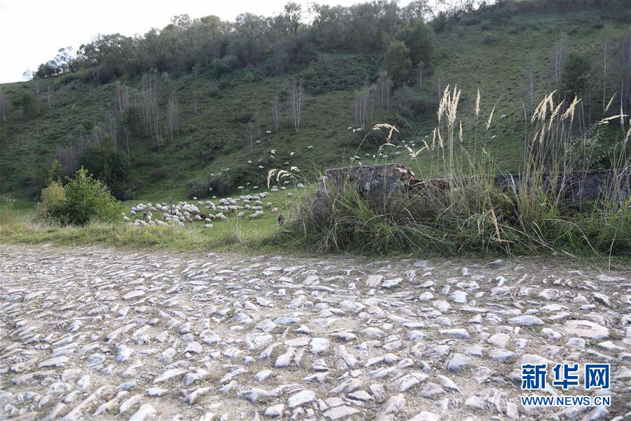 （國際&middot;圖文互動(dòng)）（5）羅馬尼亞大理石村的今昔