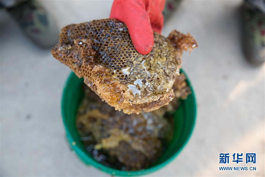 (國(guó)際·聚焦進(jìn)口博覽會(huì)·圖文互動(dòng))(7)通訊:贊比亞蜂蜜企業(yè)欲借進(jìn)博會(huì)開(kāi)拓中國(guó)市場(chǎng)