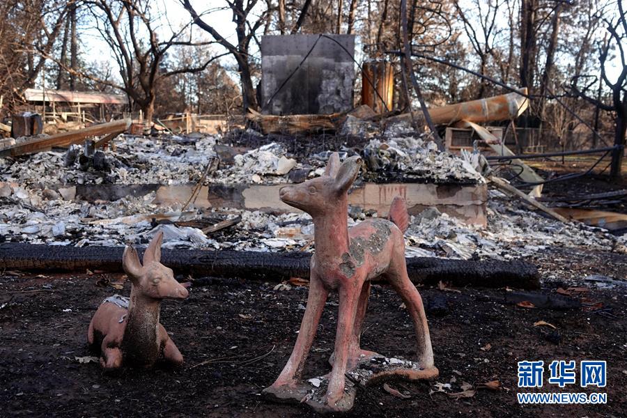 （國際&middot;圖文互動）（6）一場山火，讓這個冬天格外冷&mdash;&mdash;探訪美國加州山火災(zāi)區(qū)
