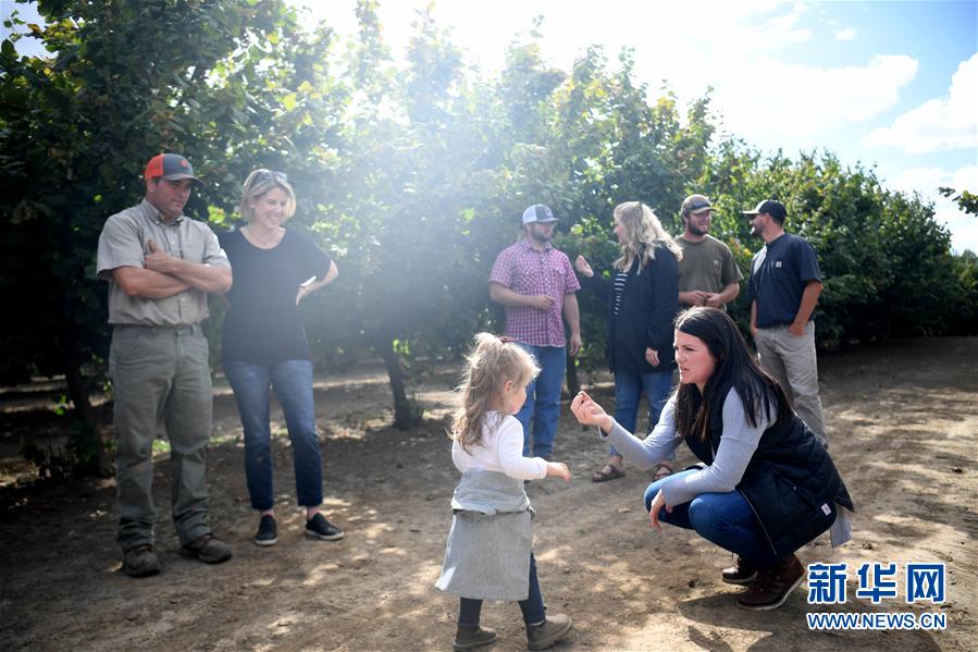 (國際·圖文互動)(1)“這些樹寄托著我們對中國市場的信心”——探訪美俄勒岡州榛子果農(nóng)