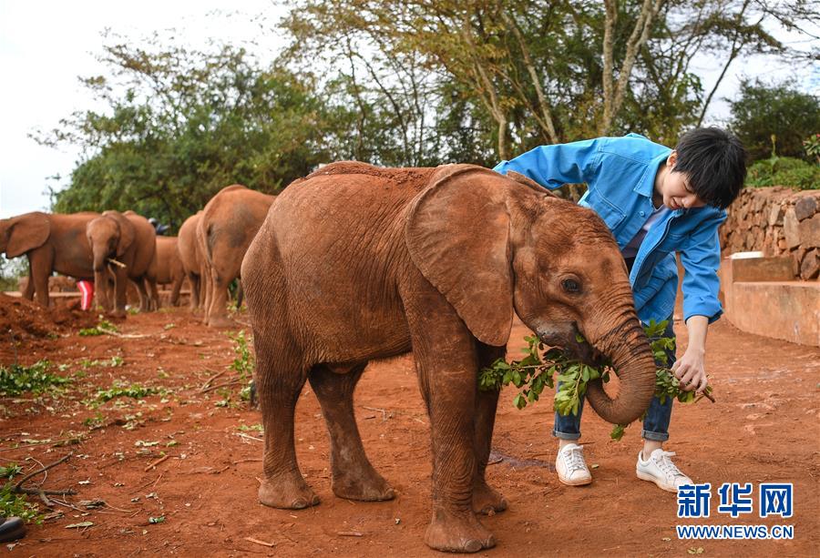 （國際&middot;圖文互動）（2）專訪：環(huán)保要以身作則 從身邊小事做起&mdash;&mdash;訪聯(lián)合國環(huán)境署親善大使王俊凱