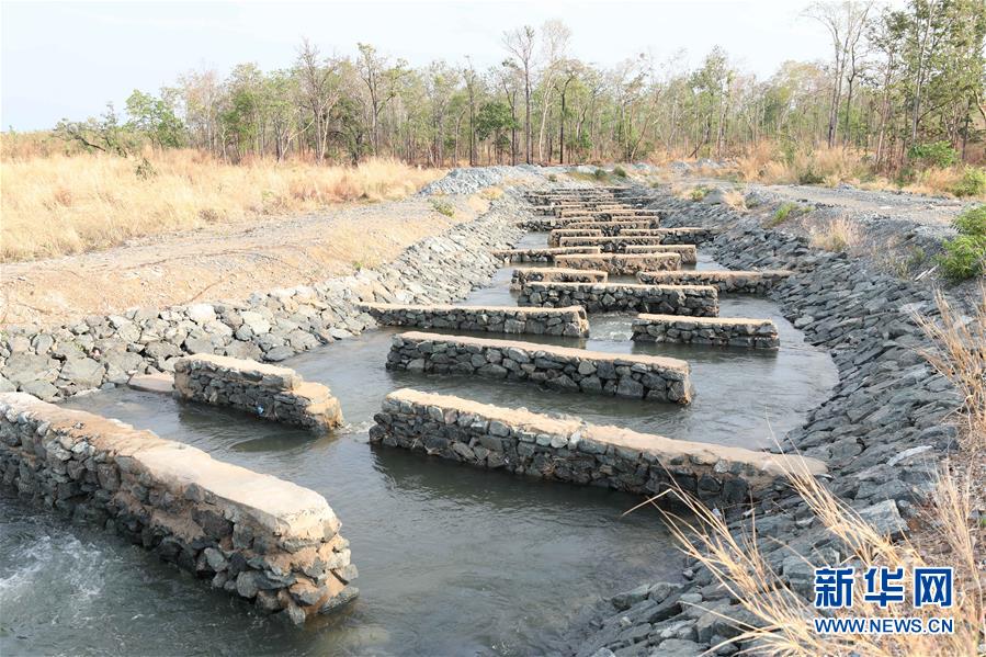 (國際·“一帶一路”高峰論壇·圖文互動(dòng))(2)通訊:為魚兒保障回家的路——中國水電工程助力柬埔寨綠色發(fā)展