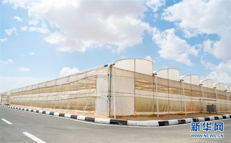 （國際&middot;&ldquo;一帶一路&rdquo;高峰論壇&middot;圖文互動）（1）荒漠正在成為瓜果飄香的綠洲&mdash;&mdash;記中國國機(jī)重工埃及現(xiàn)代農(nóng)業(yè)溫室項目