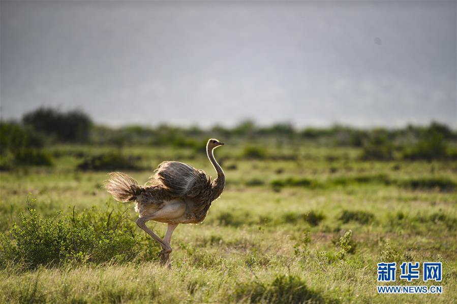 （國(guó)際&middot;一周看天下）奔跑