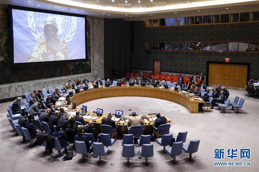 (國際·圖文互動(dòng))(2)中國代表就聯(lián)合國維和警察工作提出三點(diǎn)建議