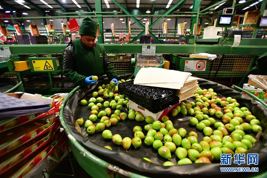 （國際&middot;年終報(bào)道）（11）&ldquo;回味&rdquo;2019