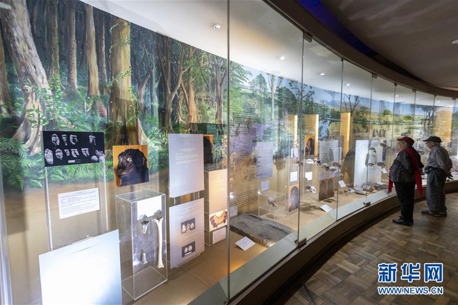 (國際)(9)探訪非洲博物館