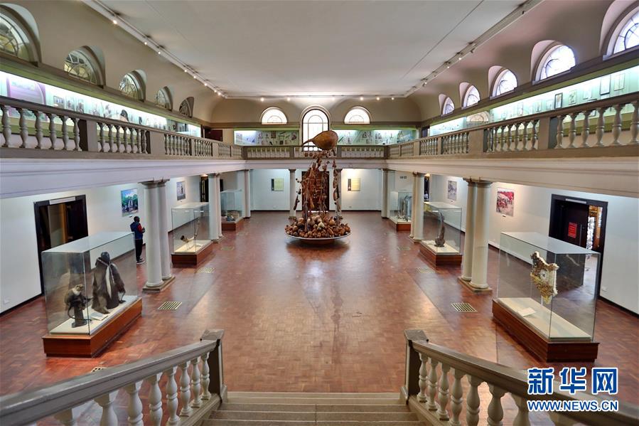 (國際)(10)探訪非洲博物館