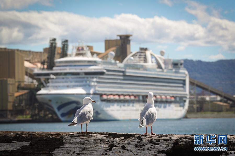 (國(guó)際疫情)(2)澳警方對(duì)“紅寶石公主”號(hào)郵輪展開(kāi)刑事調(diào)查