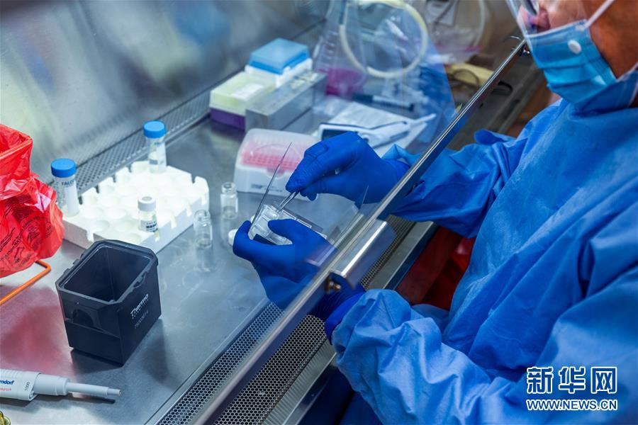 （新華全媒頭條&middot;圖文互動(dòng)）（3）為人類戰(zhàn)疫打造最有力的武器&mdash;&mdash;全球合力加速研發(fā)新冠疫苗