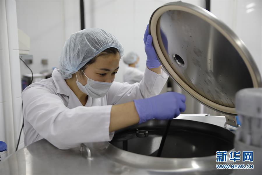 (國際·圖文互動)(5)從“先遣隊(duì)”到“正規(guī)軍”——哈薩克斯坦駱駝奶粉入華記