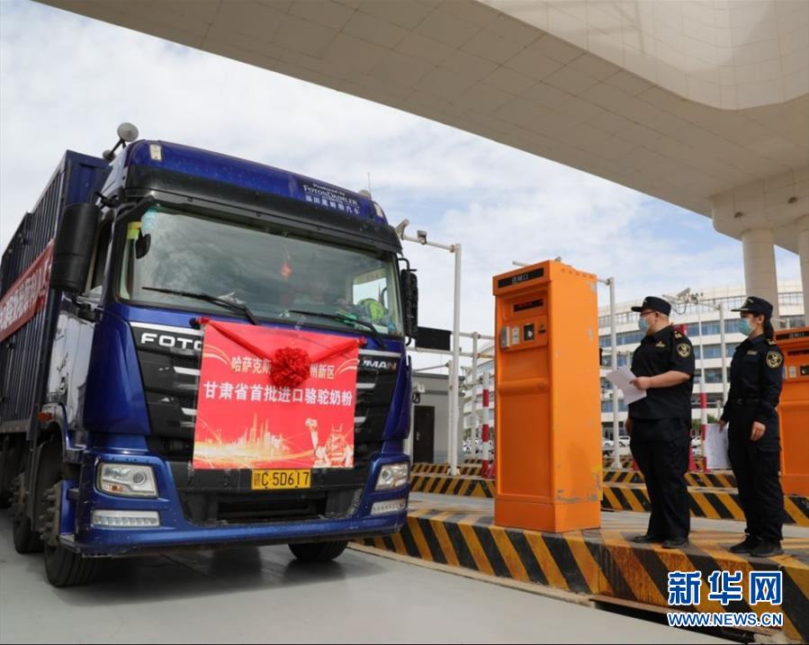 (國際·圖文互動)(7)從“先遣隊(duì)”到“正規(guī)軍”——哈薩克斯坦駱駝奶粉入華記