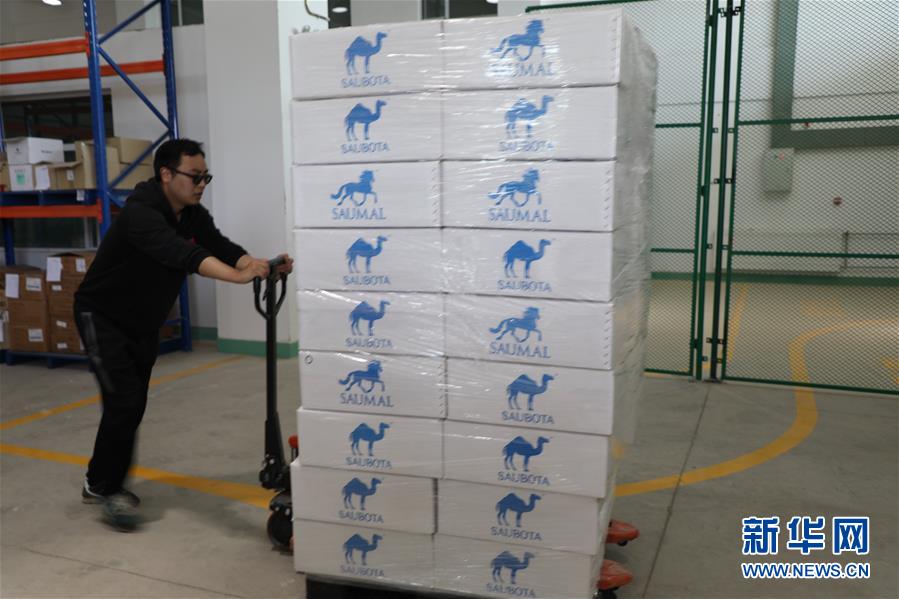 (國際·圖文互動)(8)從“先遣隊(duì)”到“正規(guī)軍”——哈薩克斯坦駱駝奶粉入華記