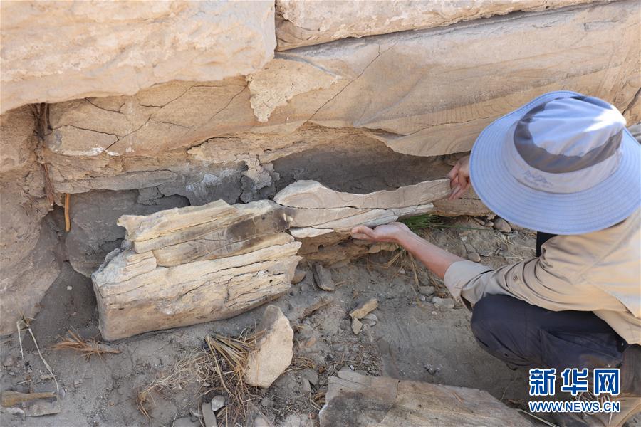 (國際·圖文互動(dòng))(8)疫中考古——中國與埃及首次聯(lián)合考古取得階段性成果