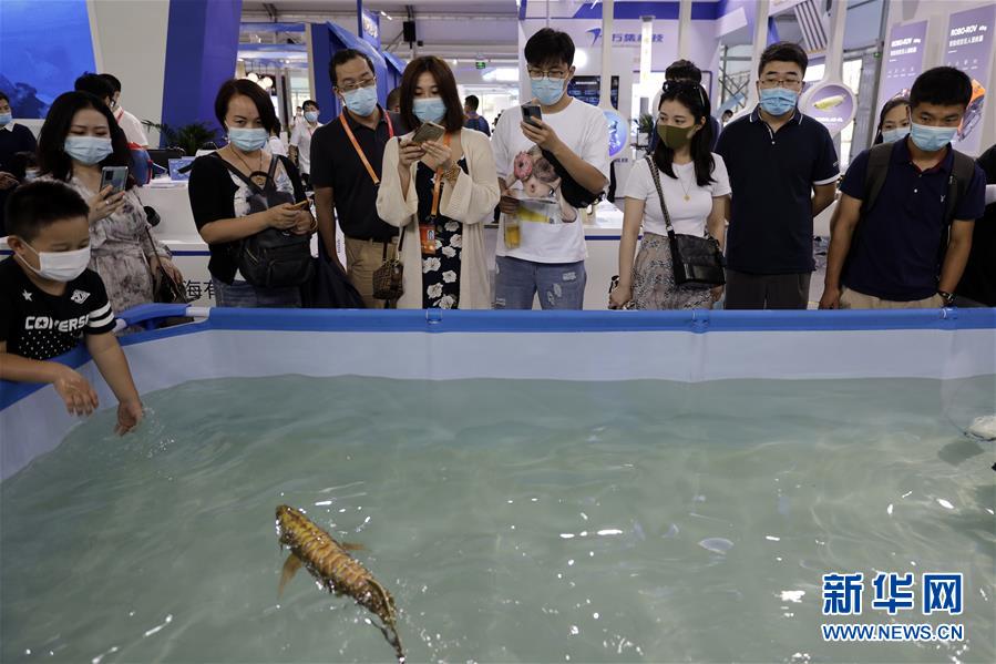 （2020服貿(mào)會）（6）各顯神通的&ldquo;機(jī)器伙伴&rdquo;