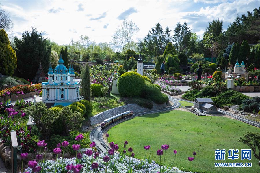 (XHDW·圖文互動)(1)通訊:“無處不在的鮮花為我們帶來歡樂和希望”——“小人國”里的堪培拉花展