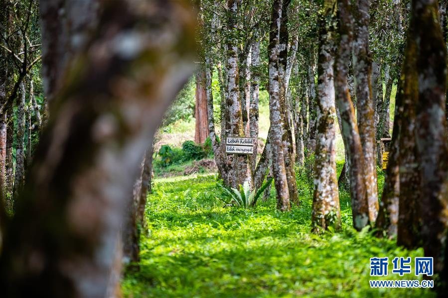 (第三屆進(jìn)博會(huì)·圖文互動(dòng))(3)專(zhuān)訪(fǎng):進(jìn)博會(huì)提供了一個(gè)共享中國(guó)發(fā)展機(jī)遇的平臺(tái)