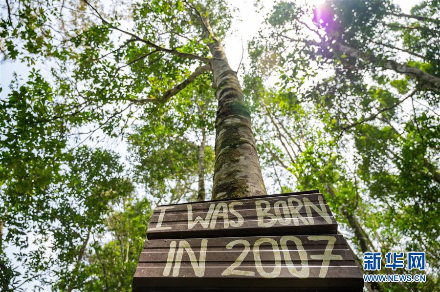 (第三屆進(jìn)博會(huì)·圖文互動(dòng))(4)專(zhuān)訪(fǎng):進(jìn)博會(huì)提供了一個(gè)共享中國(guó)發(fā)展機(jī)遇的平臺(tái)