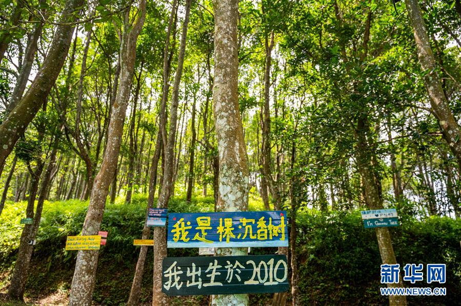 (第三屆進(jìn)博會(huì)·圖文互動(dòng))(10)專(zhuān)訪(fǎng):進(jìn)博會(huì)提供了一個(gè)共享中國(guó)發(fā)展機(jī)遇的平臺(tái)